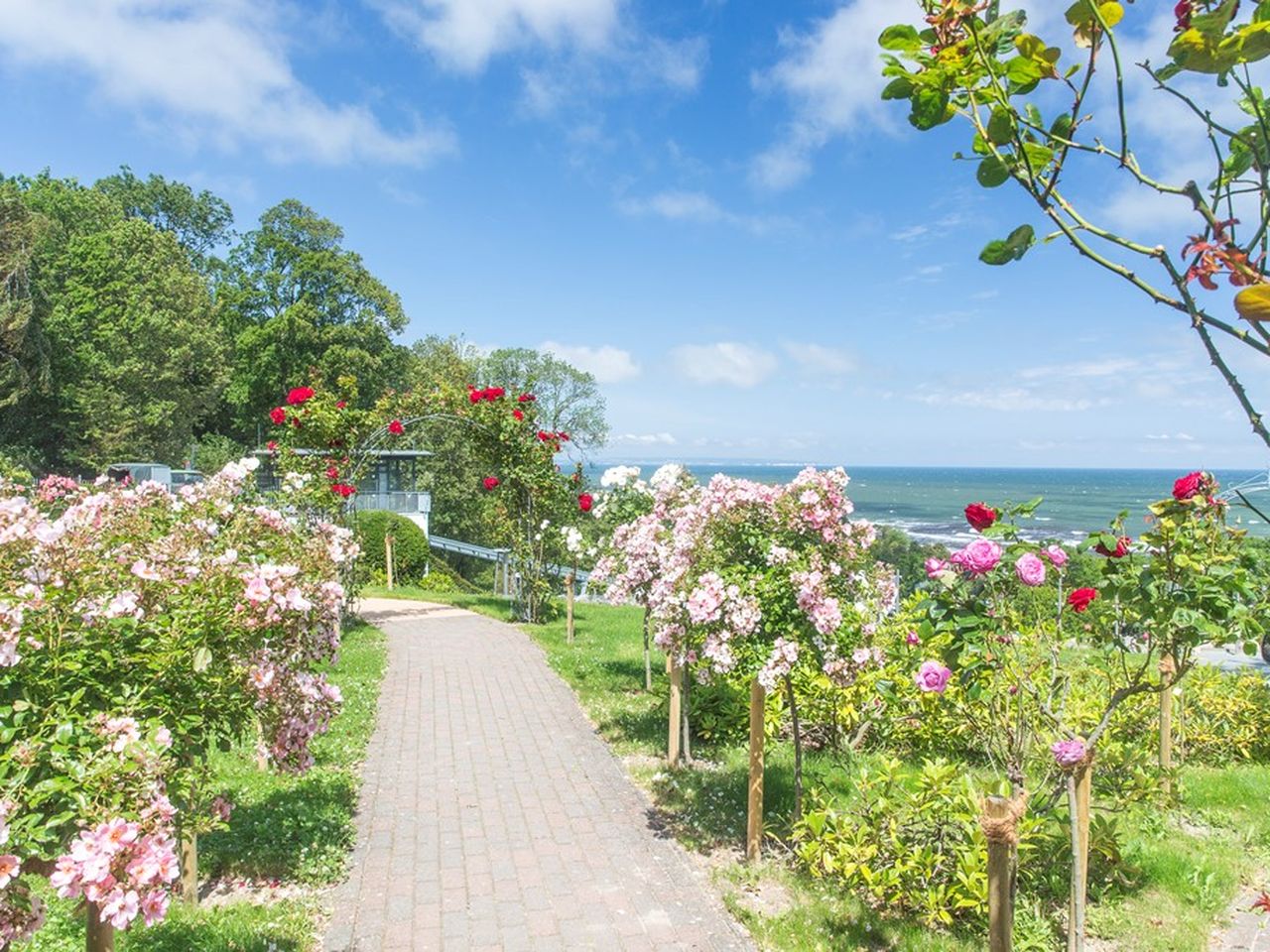 Schnäppchen-Angebot im Ostseebad Göhren auf Rügen