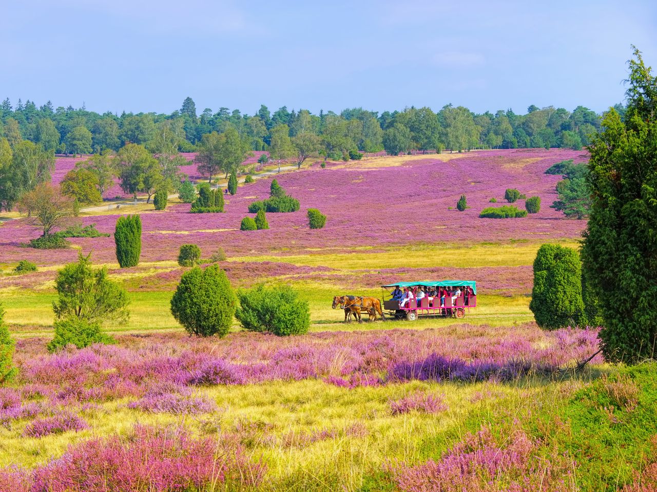Romantik im Herzen der Lüneburger Heide