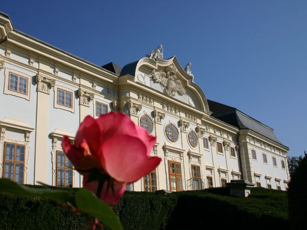 Wohnen im Schloss Halbturn – 3 Tage mit HP, Burgenland inkl. Halbpension