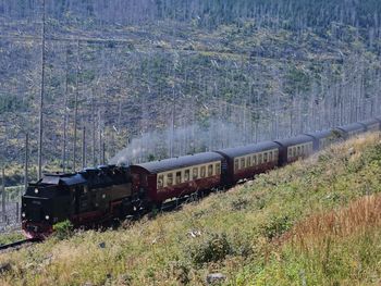 Silvester-Auszeit im Harz inkl. Frühstück