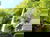 4 Tage pure Entspannung mit AlbCard und Therme