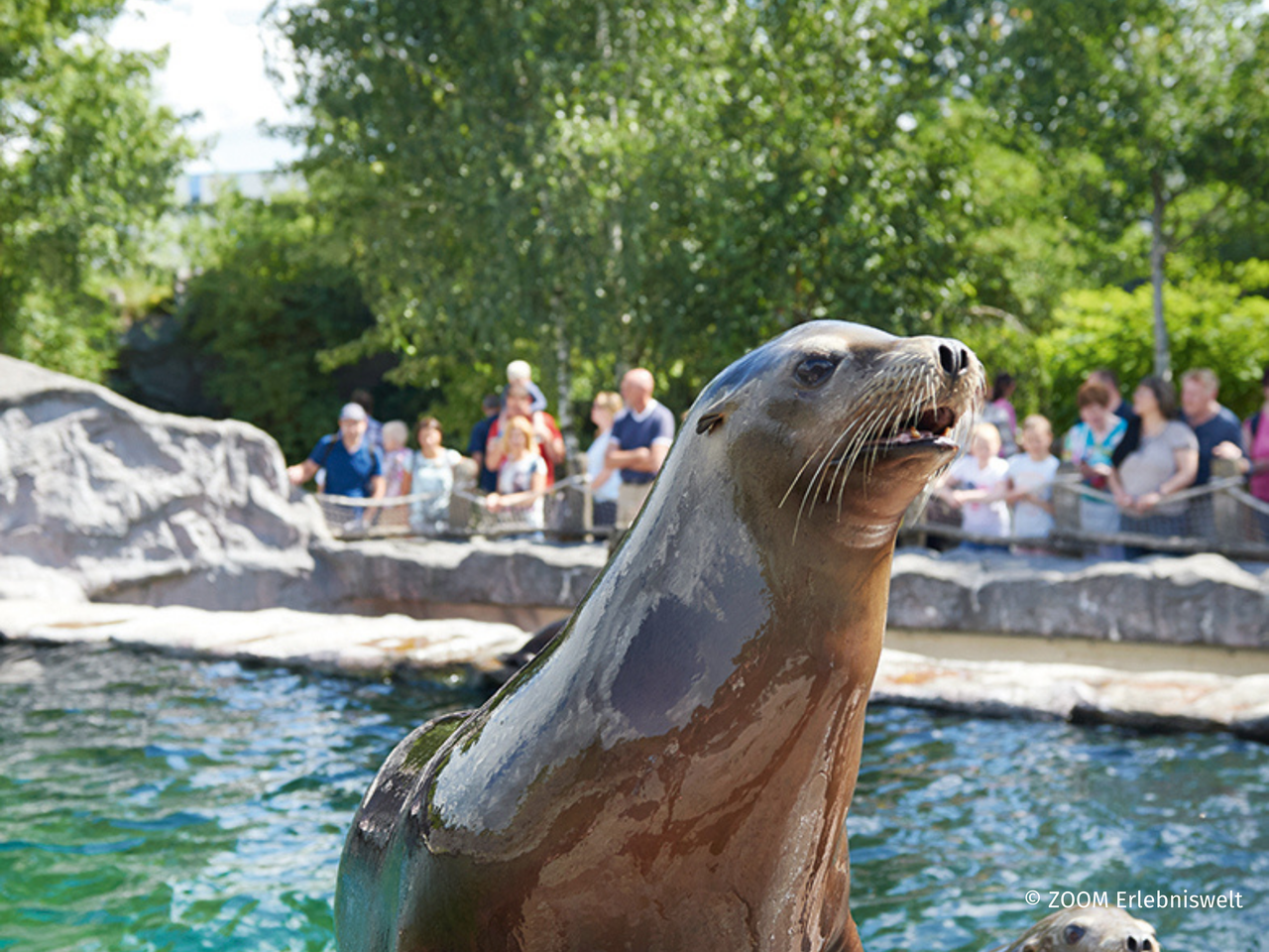 ZOOM Erlebniswelt