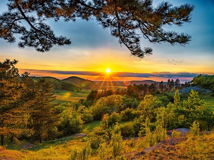 3 Tage, 3 Regionen - Wochenendtrip im Rheinau erleben