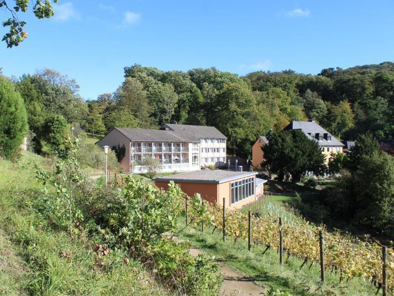 Herbst-Special in Königswinter/Bonn I 2 Nächte