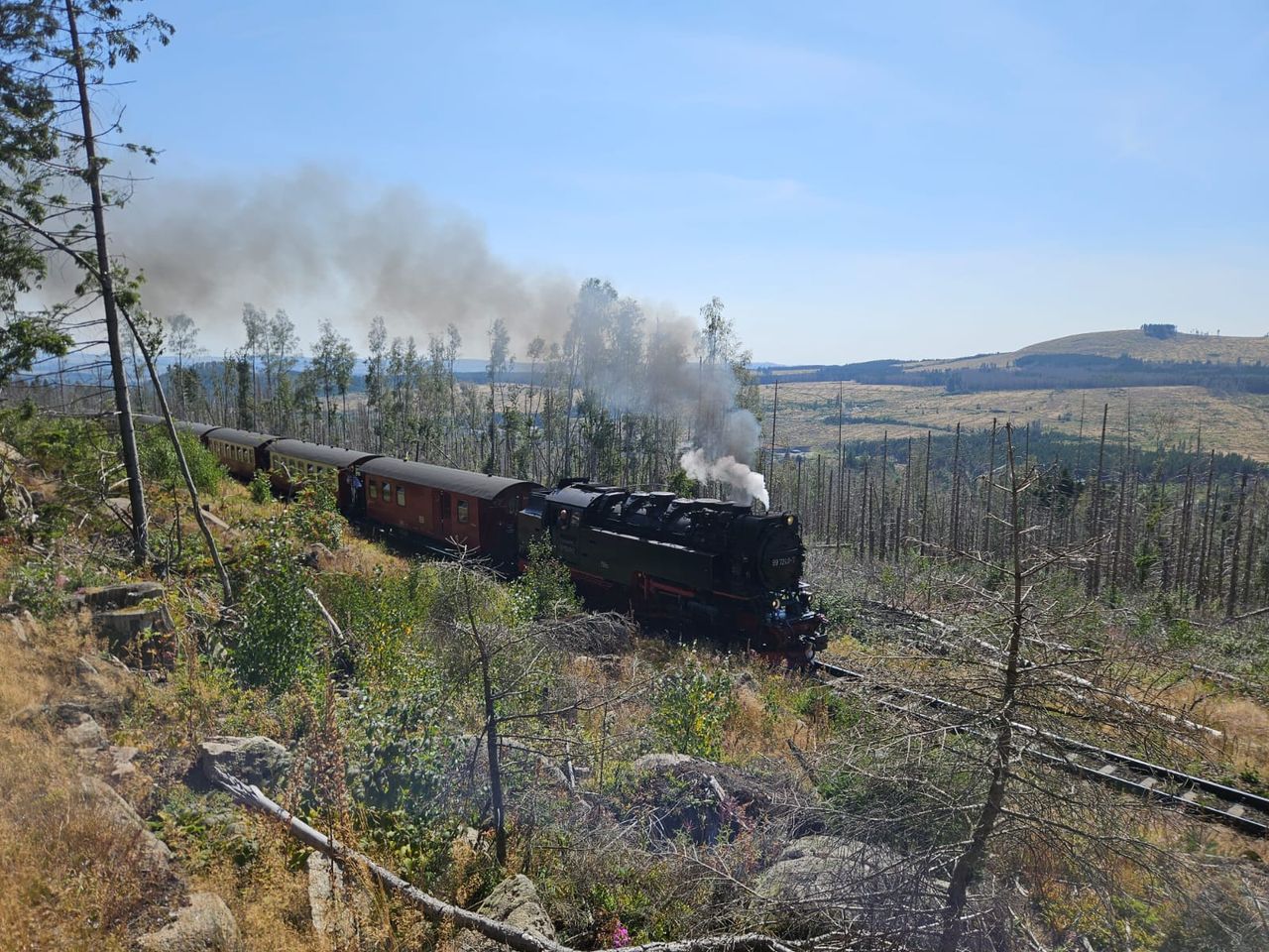 Silvester mit Halbpension - 6 Tage im Harz