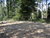 4 Tage im Herzen der Veluwe