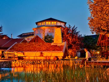 Goldener Herbst im Lausitzer Seenland