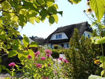 4 Tage Halbpension im Naturparadies auf Rügen