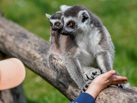 Serengeti Park Hodenhagen mit Hotel