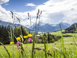 Naturkulisse Bayerischer Wald | 4 Tage mit Abendessen