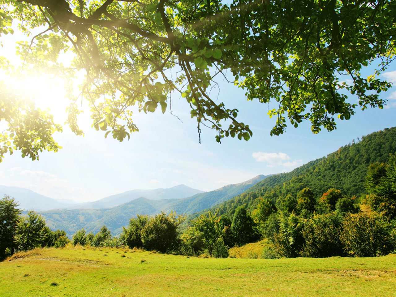 Sommer im Bayerischen Wald