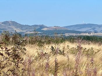 Wochenende im Naturparadies Oberharz / 4 Tage mit HP