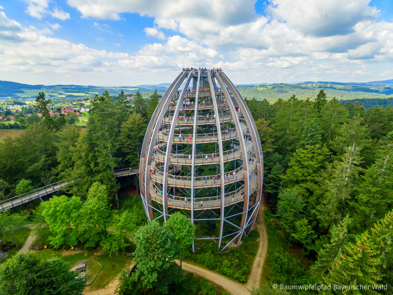 Baumwipfelknüller - 4 Tage mit Halbpension