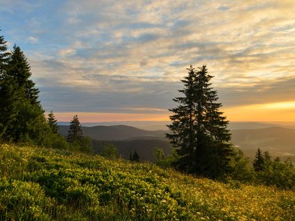 3 Wohlfühltage im Sauerland - Übernachtung/Frühstück