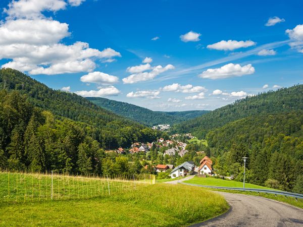 3 Tage Schwarzwald: Aktiv -Trip – Wandertrip in Bad Herrenalb, Baden-Württemberg inkl. Halbpension