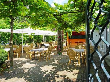 Auszeit mit Wein & Kulinarik - Freitags-Special