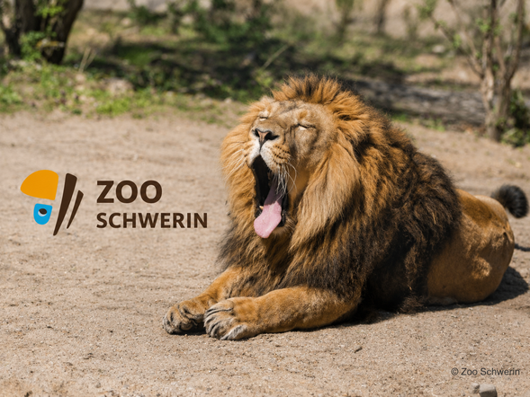 Zoo Schwerin mit Tageseintritt und Übernachtung