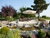 4 Tage Auszeit am Bodensee - Bio, Genuss & Ruhe pur!