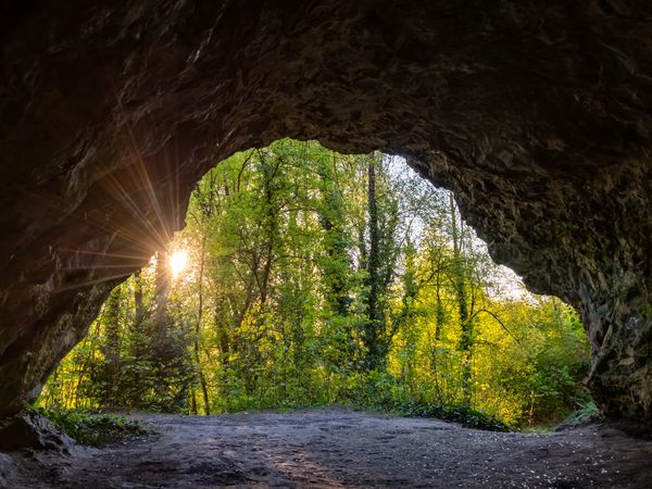 8 Tage Wandern & Kultur im Odenwald und Neckartal - 7 Nächte in Oberzent, Hessen inkl. Halbpension