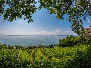 Wochenende am Bodensee