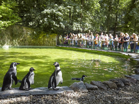 Zoo Schwerin mit Tageseintritt und Übernachtung