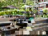 3 Tage Waldhotel in Brabant – Ruhe & Natur erleben