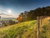 4 Tage Verwöhnurlaub im Allgäu (3 Nächte)