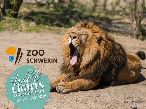 Zoo Schwerin mit Ticket und Hotel