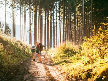 Bergferien mit dem Hund inkl. HP | 4 Tage
