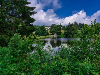 4 Tage Kurztrip im Harz mit süßer Verwöhnung