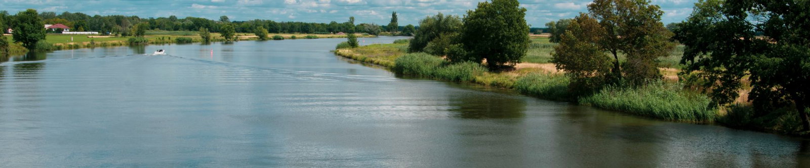 Die Saale bei Nienburg