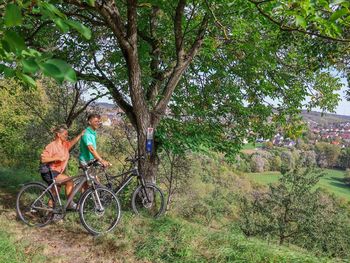 Radeln im lieblichen Taubertal-4 Tage inkl Lunchpaket