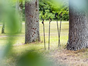 Natur Pur in der Schorfheide: 3 Tage Alltags-Detox