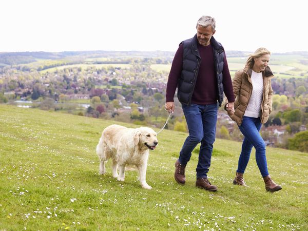 Urlaub mit Hund – ein tierisch guter Urlaub | 4 Tage in Bad Laasphe, Nordrhein-Westfalen inkl. Frühstück