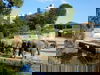 Kurzurlaub im Kölner Zoo (Cologne Zoo) 1 Nacht