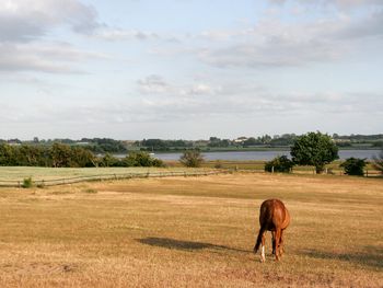 Ostsee-Gourmet-Auszeit für 3 Tage Ostsee-Urlaub