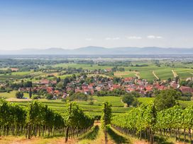 Badenweiler: 2 Tage Südschwarzwald voller Genuss und Entspannung