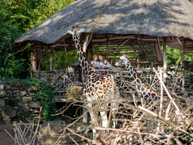 Erlebnis-Zoo Hannover mit Hotel
