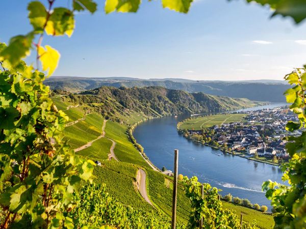 Wein-Tage am Wochenende in Cochem, Rheinland-Pfalz inkl. Frühstück