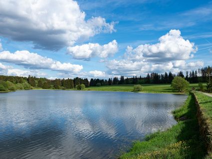 Bunter Bock - Die Harz Urlaubs-Alm
