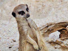 2 Tage Dachau und München entdecken