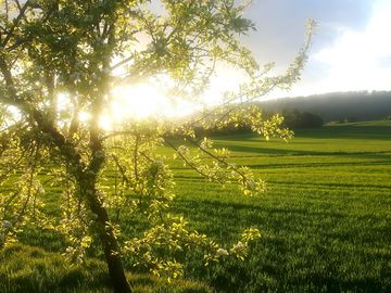 Wunderschöne Landschaft in Niedersachsen