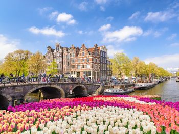 Lekker Frietjes in Amsterdam - 6 Tage