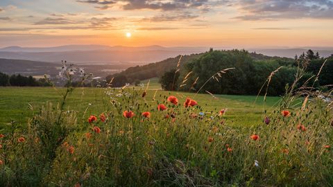 Sternenhimmel in der Rhön