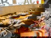 ZOOtopia - 3 Tage Leipzig