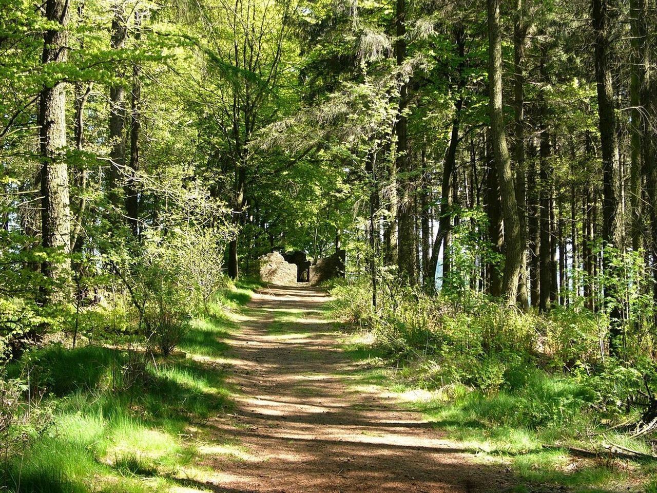 3 Tage Westfälische Auszeit am Teutoburger Wald