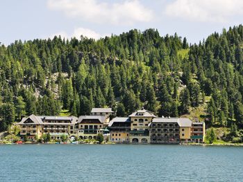 Auf zur Arnikablüte zwischen Steiermark & Kärnten