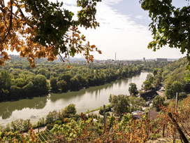 Wohlfühltage in Stuttgart
