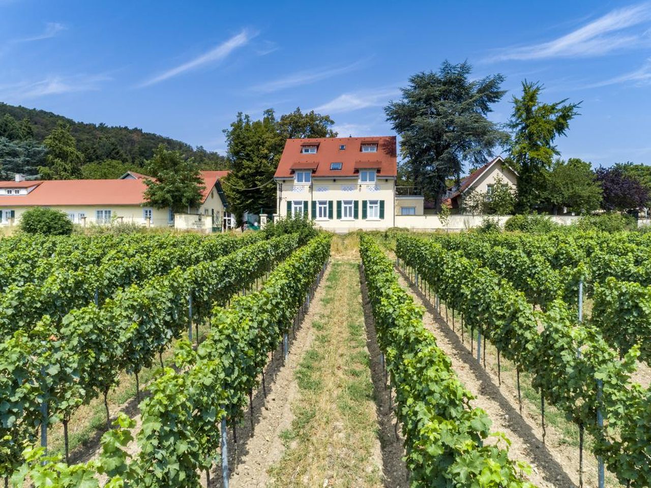 Romantik im Weingut - unser 