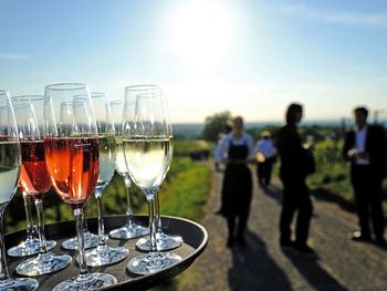 3 Tage Wein-und Kulinarikzeit inmitten von Weinbergen